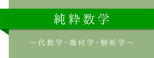 純粋数学～代数学・幾何学・解析学～